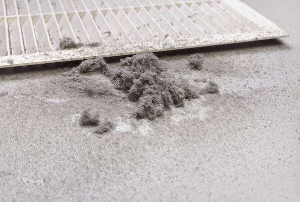 Best Dryer Vent Cleaning Services  in North Granby, CT