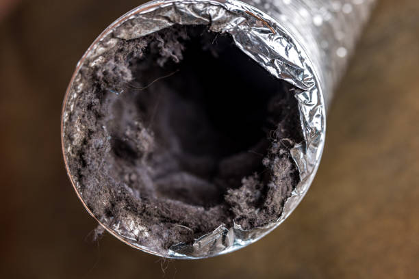 Best Local Air Duct Cleaning Services  in North Granby, CT